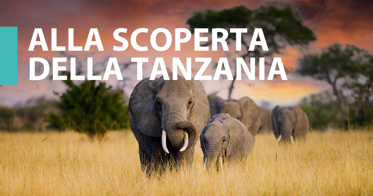 Alla scoperta della Tanzania
