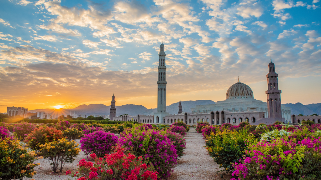 immagine di un tramonto con una moschea in oman, in primo piano delle piante in un giardino