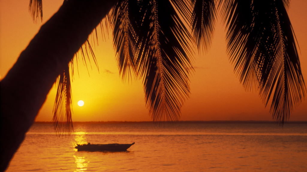 Tramonto tropicale su una spiaggia di Zanzibar con cielo limpido e mare calmo