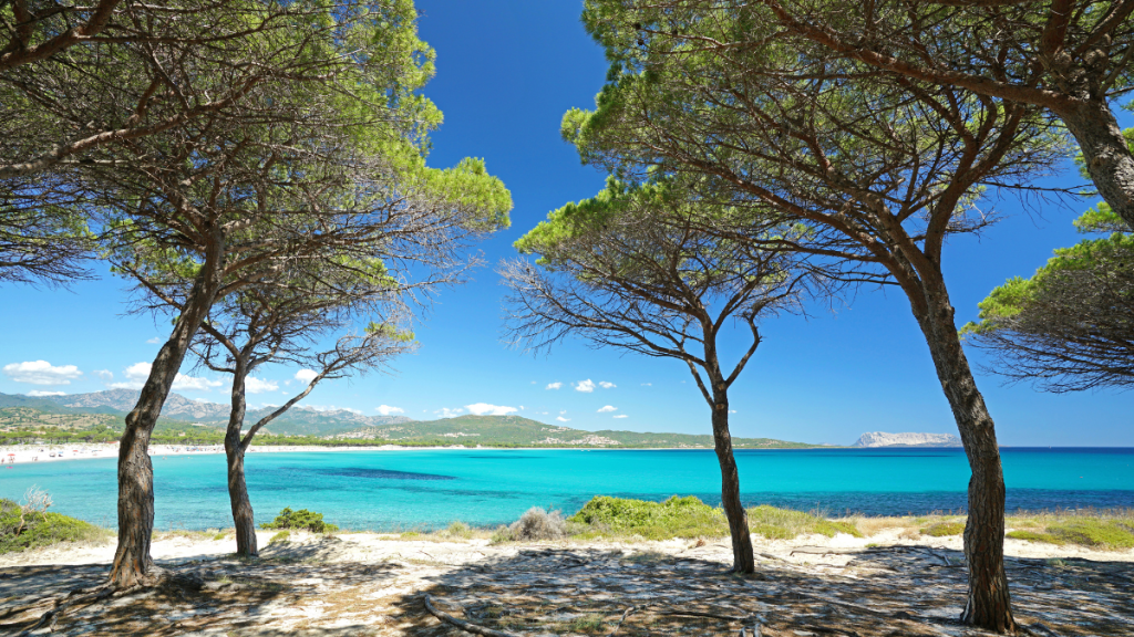 mare italia e mediterraneo sardegna