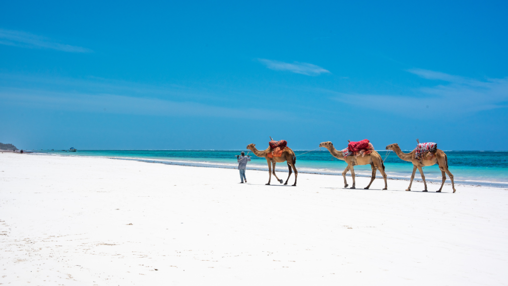 Spiaggia sulla costa del Kenya in una giornata di sole, durante la stagione secca