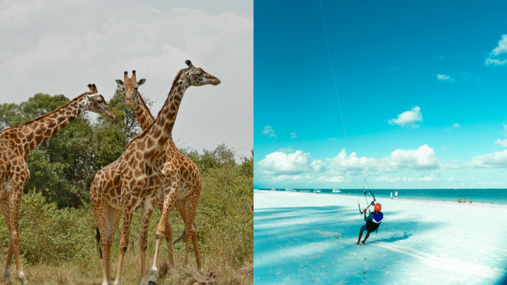 Combinazione di safari nel Masai Mara e spiaggia di Diani in Kenya, ideale per un viaggio completo